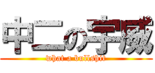 中二の宇威 (what a bullshit)