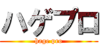 ハゲプロ (hage pro)