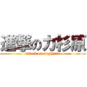 進撃のカ杉原 (attack on sugihara)
