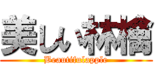 美しい林檎 (Beautifulapple)