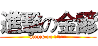 進擊の金諺 (attack on titan)