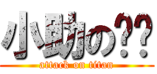 小助の莹莹 (attack on titan)