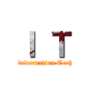 Ｉ Ｔ (Information Tech)