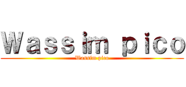 Ｗａｓｓｉｍ ｐｉｃｏ (Wassim pico)
