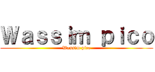 Ｗａｓｓｉｍ ｐｉｃｏ (Wassim pico)