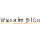 Ｗａｓｓｉｍ ｐｉｃｏ (Wassim pico)