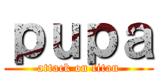 ｐｕｐａ (attack on titan)