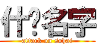 什麽名字 (attack on sohai)