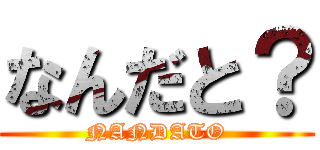 なんだと？ (NANDATO)