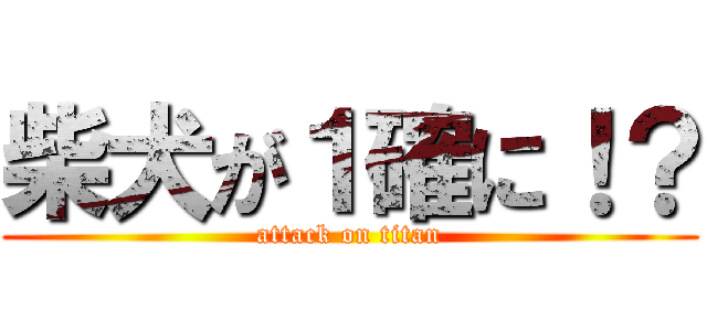 柴犬が１確に！？ (attack on titan)
