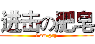 进击の肥皂 (i am gay)