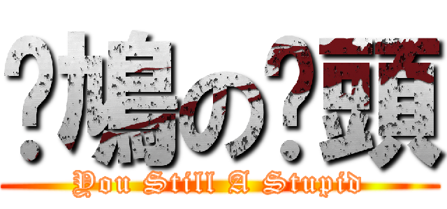 戇鳩の柒頭 (You Still A Stupid)