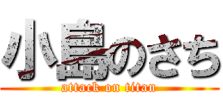 小島のさち (attack on titan)