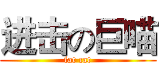 进击の巨喵 (fat cat)
