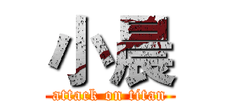 小晨 (attack on titan)