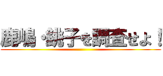 鹿嶋・銚子を調査せよ！ ()