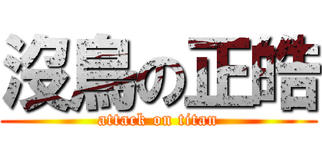 沒鳥の正皓 (attack on titan)