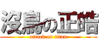沒鳥の正皓 (attack on titan)