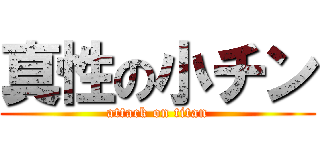 真性の小チン (attack on titan)