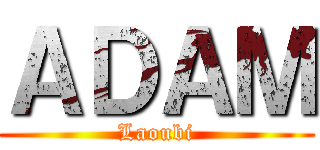 ＡＤＡＭ (Laoubi)