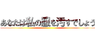 あなたは私の服を汚すでしょう ()