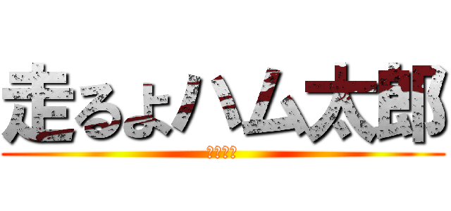 走るよハム太郎 (お前馬鹿)