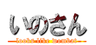 いのさん (looks like wombat)