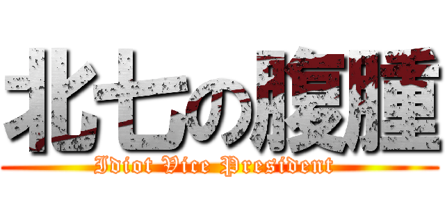 北七の腹腫 (Idiot Vice President )