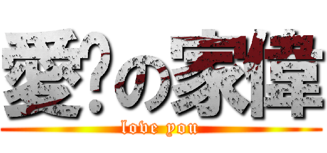 愛你の家偉 (love you)