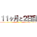 １１ヶ月と２日目 ()