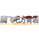 腾飞吧方青君 (attack on titan)