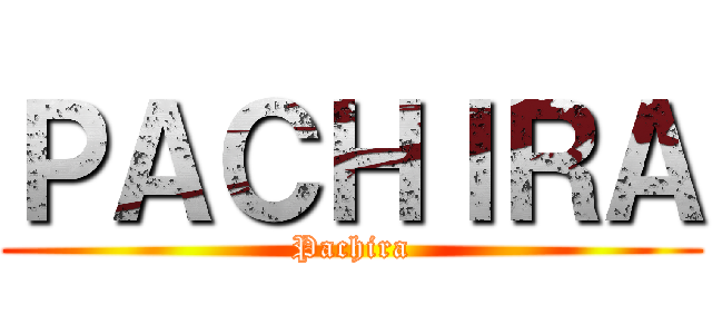 ＰＡＣＨＩＲＡ (Pachira)