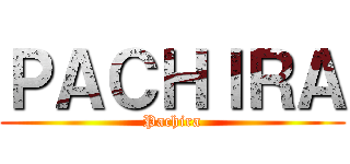 ＰＡＣＨＩＲＡ (Pachira)