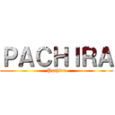 ＰＡＣＨＩＲＡ (Pachira)