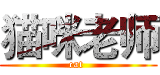 猫咪老师 (cat )