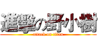 進擊の野小樹 (attack on titan)