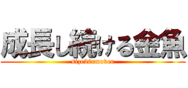 成長し続ける金魚 (size20cmover)