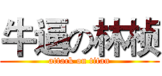 牛逼の林桢 (attack on titan)