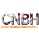 ＣＮＢＨ (Crazy Noisy Bizarre Hub)