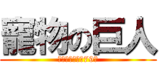 寵物の巨人 (希爾思飼料全面79折)