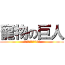 寵物の巨人 (希爾思飼料全面79折)