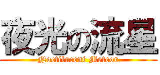 夜光の流星 (Noctilucent Meteor)