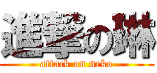 進撃の琳 (attack on neko)