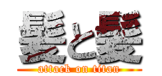 髪と髪 (attack on titan)