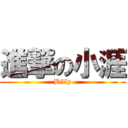 進撃の小涯 (Billy)