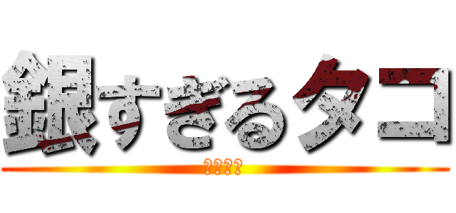 銀すぎるタコ (千代高祭)