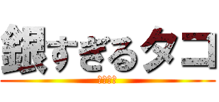 銀すぎるタコ (千代高祭)