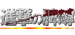 進撃の脾罅 ()