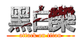 黑白樂 (attack on titan)