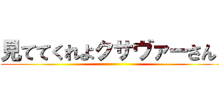 見ててくれよクサヴァーさん！ ()